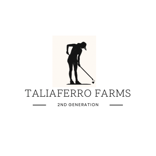 Taliaferro Farms CSA and Events